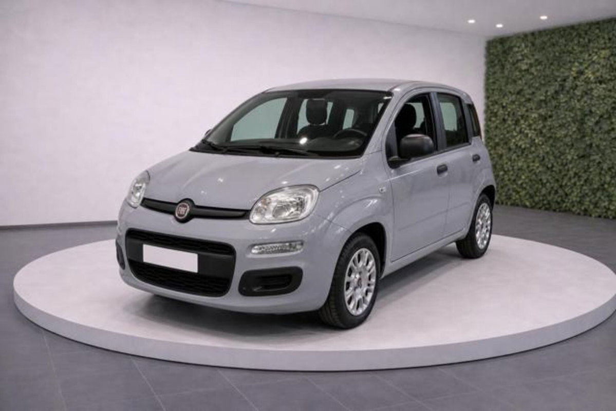 Fiat Panda 1.2 Easy Van 4 posti