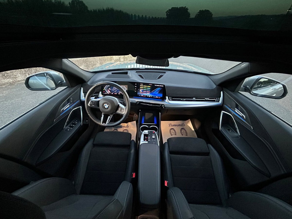 BMW X2 sdrive 18d MSport auto (17)