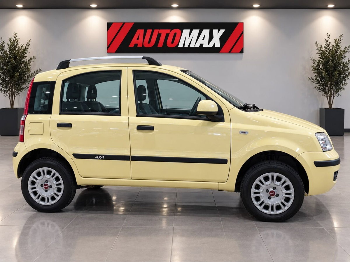 Fiat Panda 1.2 4x4 (6)