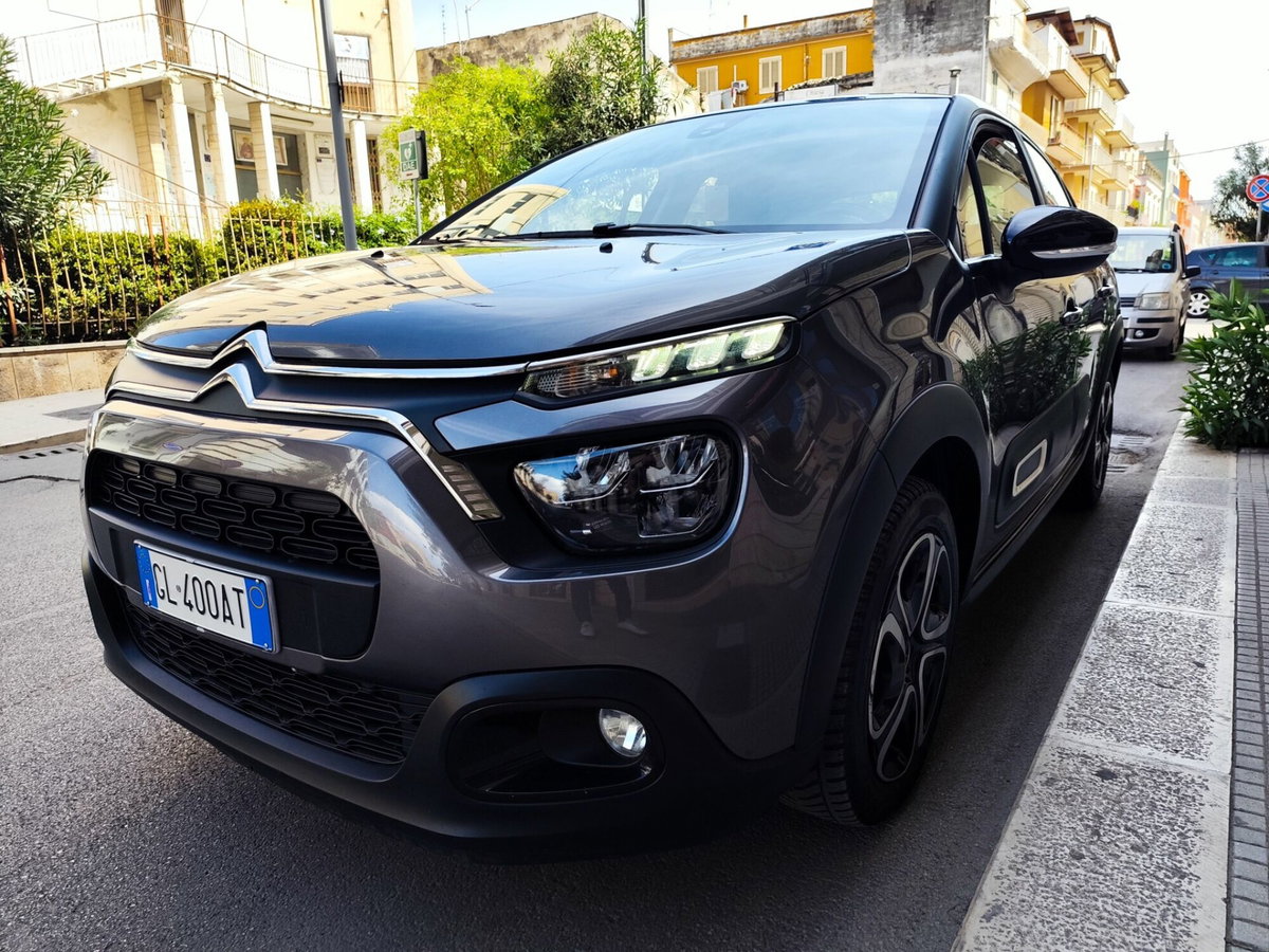 Citroen C3 BlueHDi 100 S&S You (3)