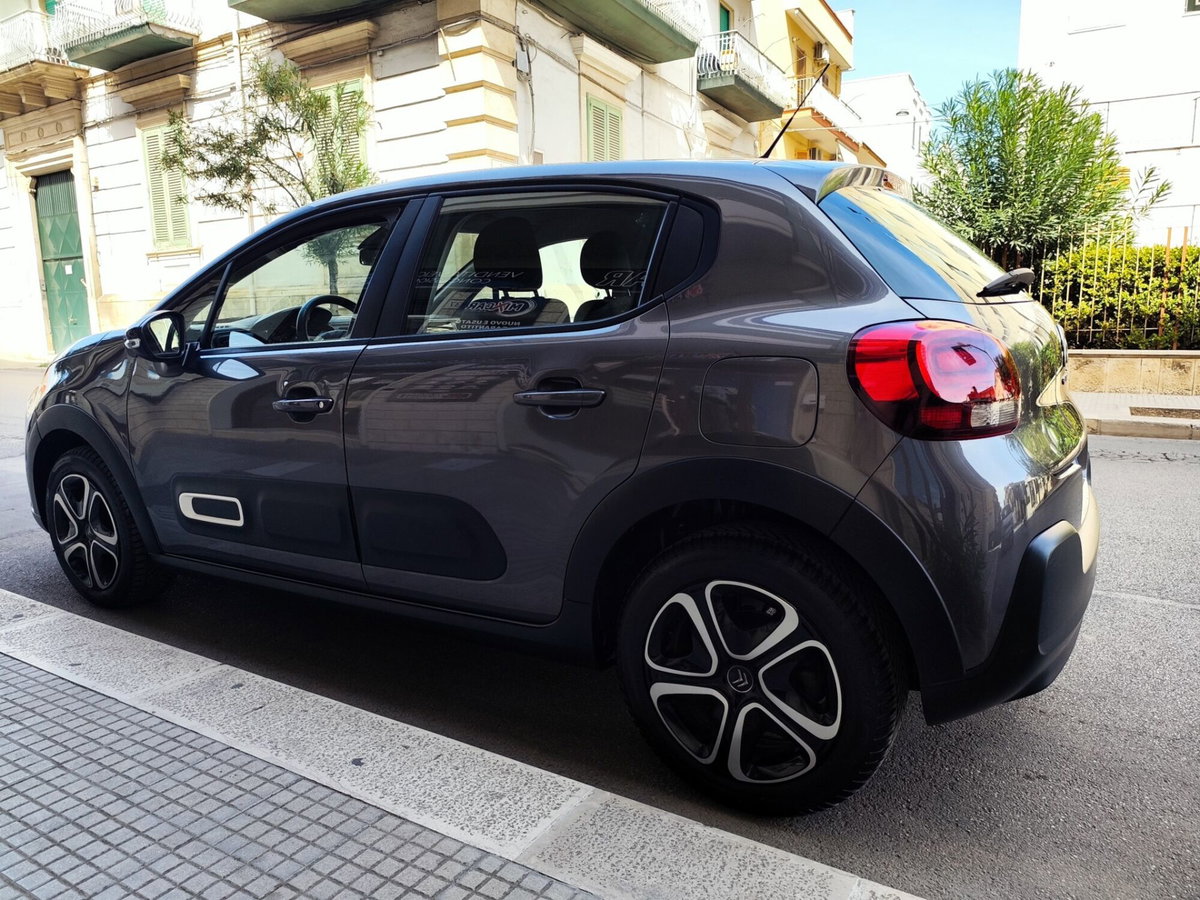 Citroen C3 BlueHDi 100 S&S You (5)