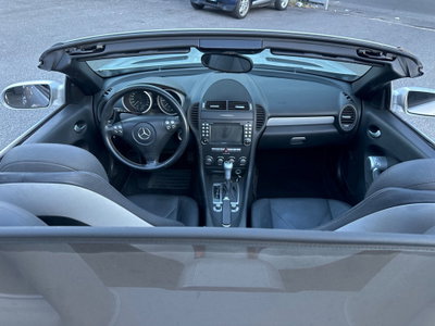 Mercedes-Benz SLK 200 Kompressor cat (6)