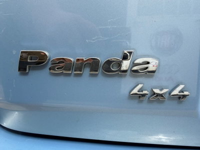 Fiat Panda 1.3 MJT 16V DPF 4x4 Climbing (11)