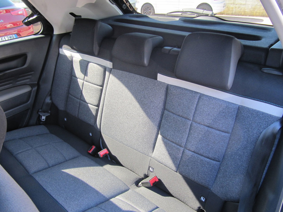 Citroen C4 Cactus BlueHDi 100 Shine (15)