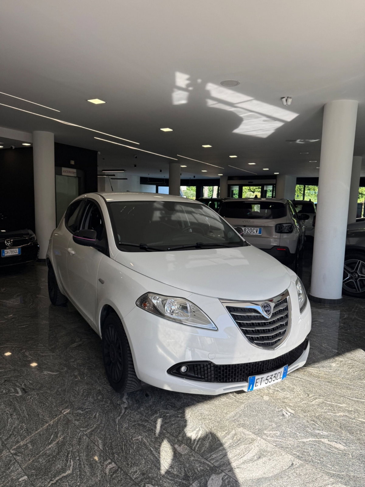 Lancia Ypsilon 1.2 69 CV 5 porte Silver (3)