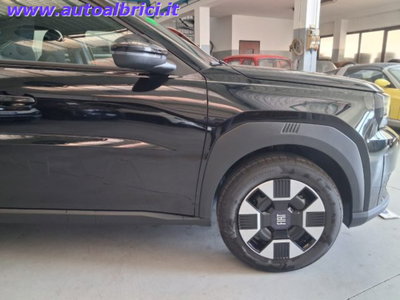 Fiat Grande Panda 1.2 Icon 100cv (11)