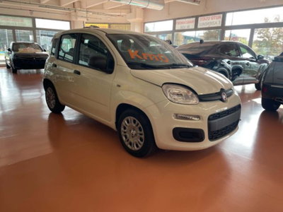 Fiat Pandina 1.0 firefly hybrid Icon s&s 65cv (2)
