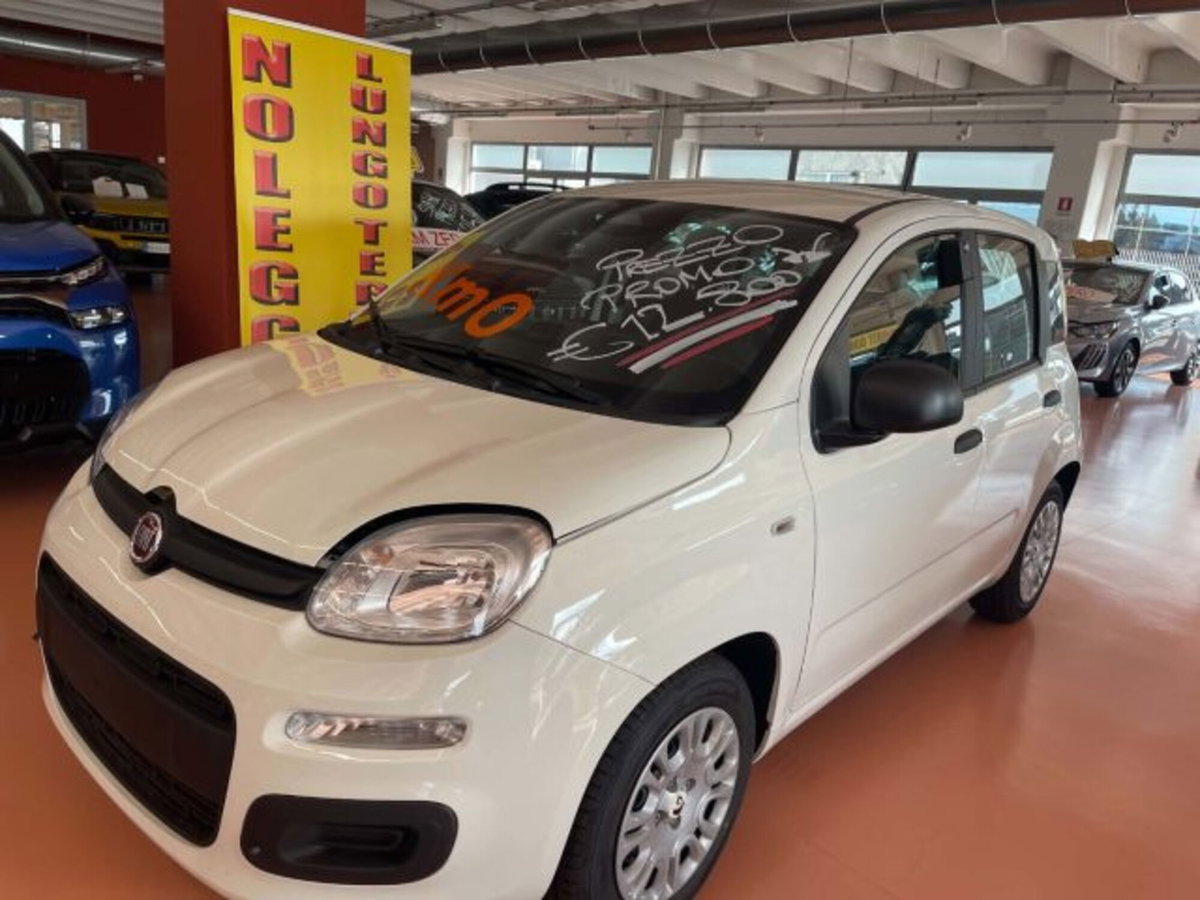 Fiat Pandina 1.0 firefly hybrid Icon s&s 65cv (3)