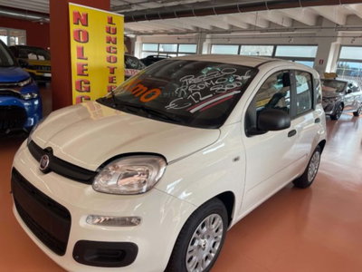 Fiat Pandina 1.0 firefly hybrid Icon s&s 65cv (3)