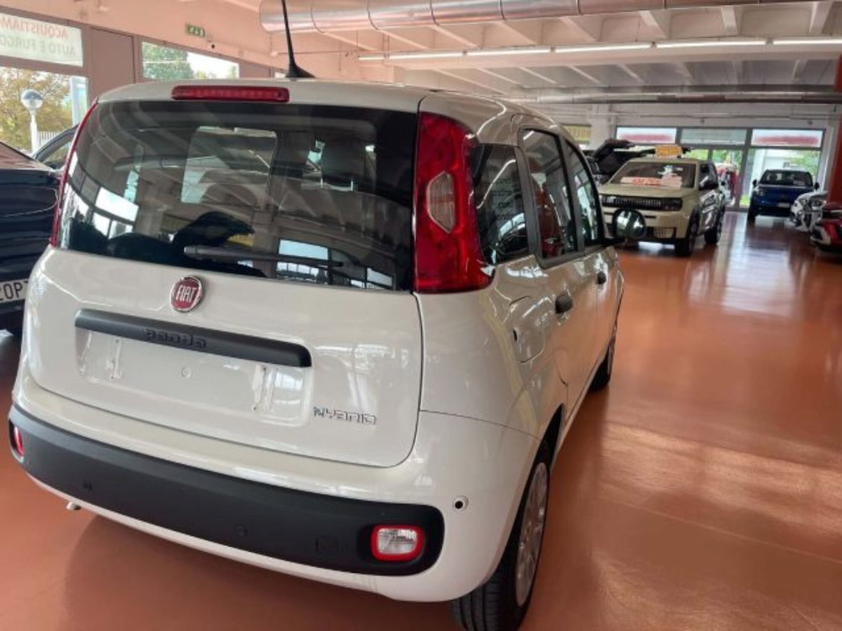 Fiat Pandina 1.0 firefly hybrid Icon s&s 65cv (4)
