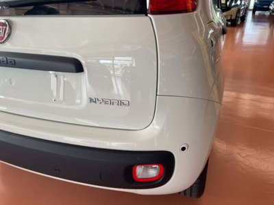 Fiat Pandina 1.0 firefly hybrid Icon s&s 65cv (8)
