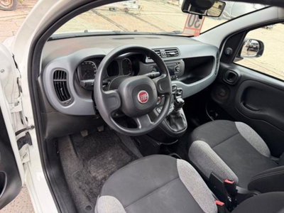 Fiat Panda 1.0 firefly hybrid s&s 70cv 5p.ti (10)