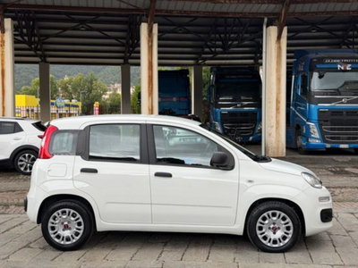 Fiat Panda 1.0 firefly hybrid s&s 70cv 5p.ti (4)