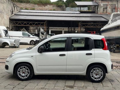 Fiat Panda 1.0 firefly hybrid s&s 70cv 5p.ti (8)