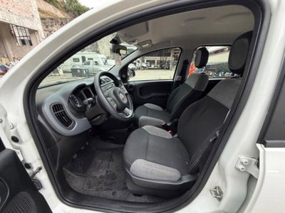 Fiat Panda 1.0 firefly hybrid s&s 70cv 5p.ti (9)