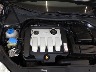 Volkswagen Golf 1.9 TDI 5p. Trendline (7)