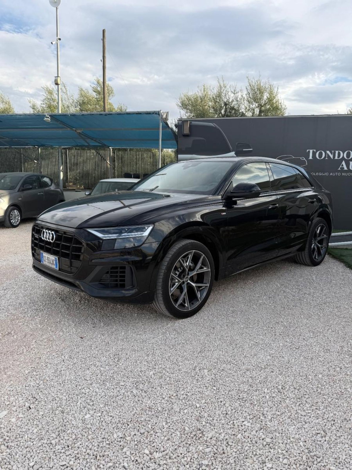 Audi Q8 Q8 50 TDI 286 CV quattro tiptronic Sport (2)
