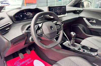 Peugeot 2008 PureTech 100 S&S Allure (8)