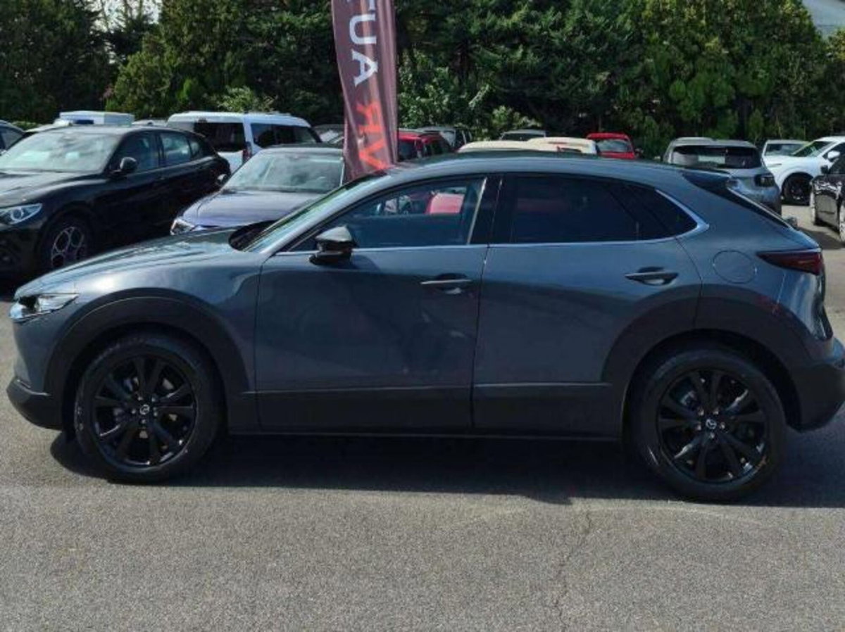 Mazda CX-30 2.0 m-hybrid Homura 2wd 186cv 6at (9)