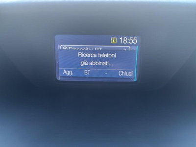 Ford EcoSport 1.5 TDCi 95 CV Plus (15)