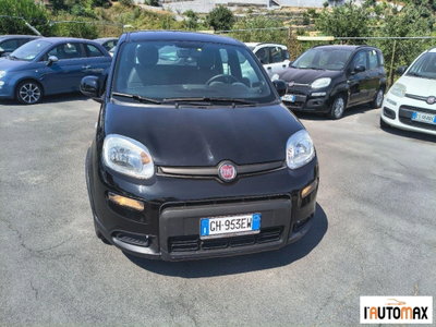 Fiat Panda 1.0 firefly hybrid Pop s&s 70cv usata