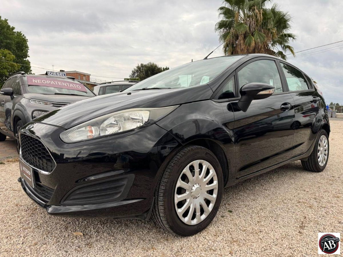 Ford Fiesta 1.4 5 porte Bz.- GPL Business N1 (12)