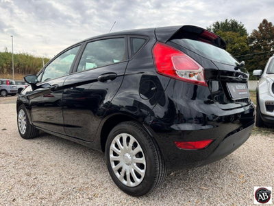 Ford Fiesta 1.4 5 porte Bz.- GPL Business N1 (15)
