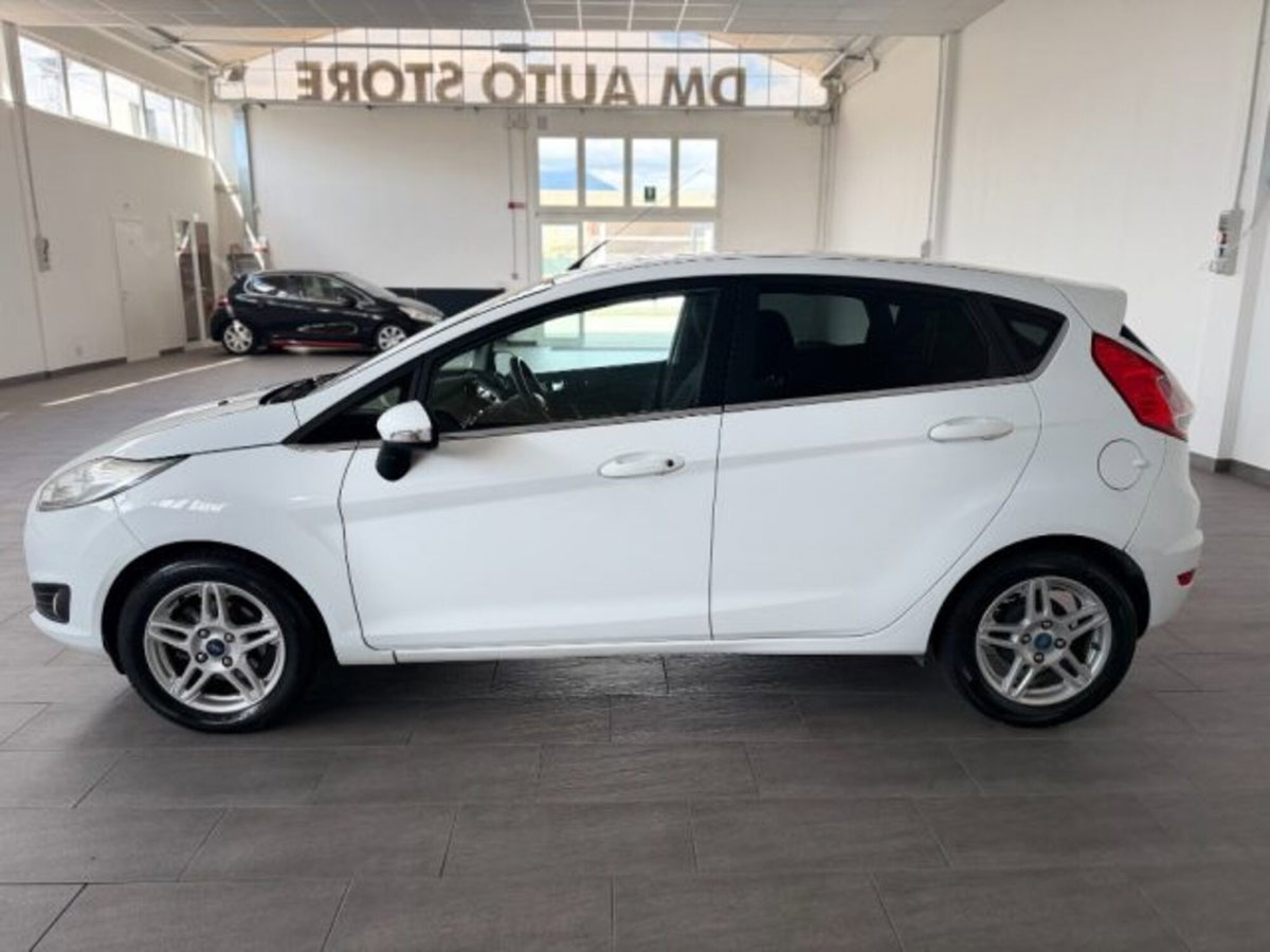 Ford Fiesta 1.5 TDCi 75CV 5 porte Titanium (8)