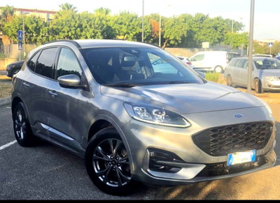 Ford Kuga 1.5 EcoBlue 120 CV aut. 2WD ST-Line X (4)