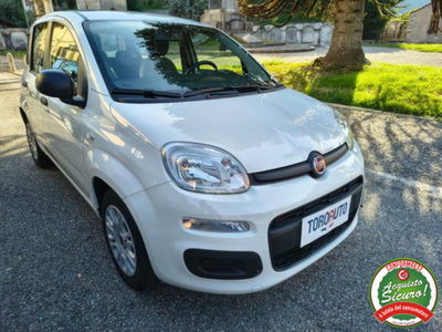 Fiat Panda 1.0 firefly hybrid s&s 70cv 5p.ti usata