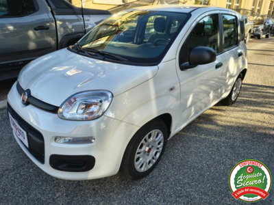 Fiat Panda 1.0 firefly hybrid s&s 70cv 5p.ti (3)