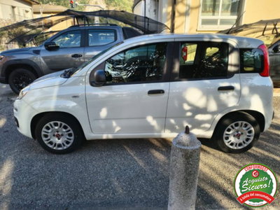 Fiat Panda 1.0 firefly hybrid s&s 70cv 5p.ti (4)