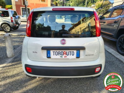 Fiat Panda 1.0 firefly hybrid s&s 70cv 5p.ti (6)