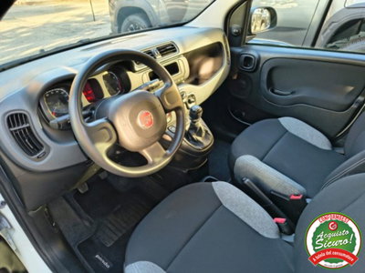Fiat Panda 1.0 firefly hybrid s&s 70cv 5p.ti (8)