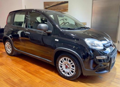 Fiat Panda 1.0 firefly hybrid s&s 70cv 5p.ti usata
