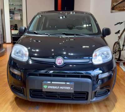 Fiat Panda 1.0 firefly hybrid s&s 70cv 5p.ti (2)