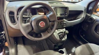 Fiat Panda 1.0 firefly hybrid s&s 70cv 5p.ti (6)