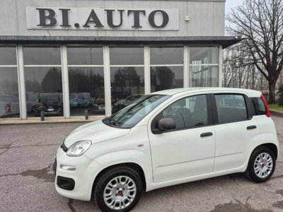 Fiat Panda 1.2 EasyPower Easy usata