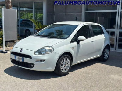 Fiat Punto 1.3 MJT II 75 CV 5 porte Lounge (3)