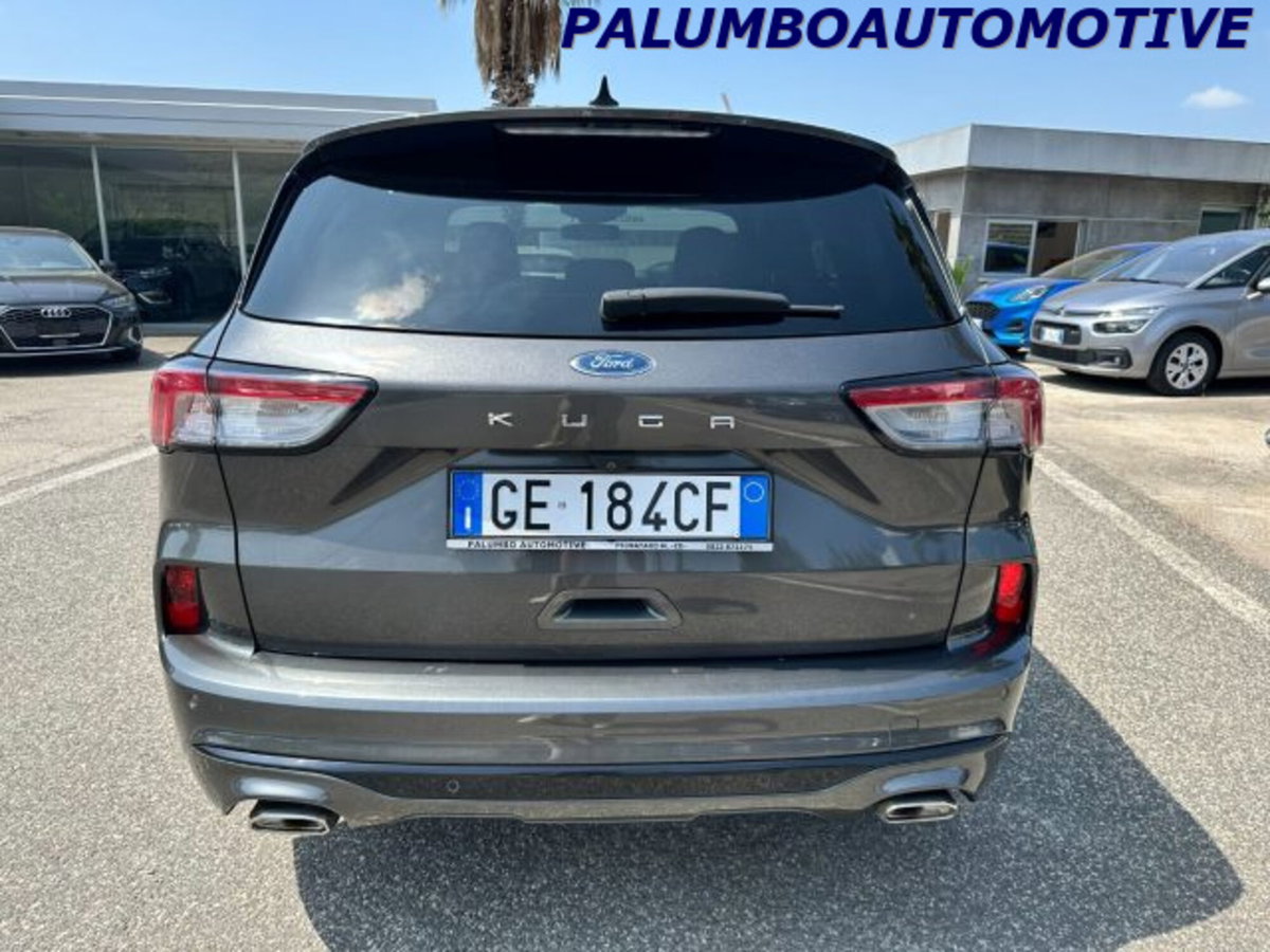 Ford Kuga 1.5 EcoBlue 120 CV 2WD ST-Line (6)