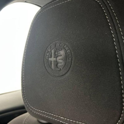 Alfa Romeo Stelvio Stelvio 2.0 Turbo 280 CV AT8 Q4 Estrema (12)