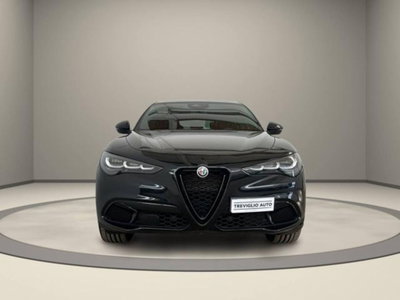 Alfa Romeo Stelvio Stelvio 2.0 Turbo 280 CV AT8 Q4 Estrema (2)