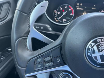 Alfa Romeo Stelvio Stelvio 2.2 Turbodiesel 210 CV AT8 Q4 Veloce (8)