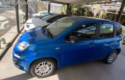 Fiat Panda 1.0 firefly hybrid Icon s&s 70cv (2)