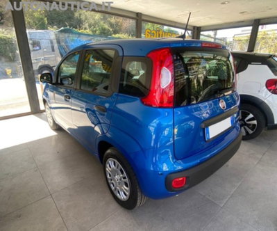 Fiat Panda 1.0 firefly hybrid Icon s&s 70cv (3)