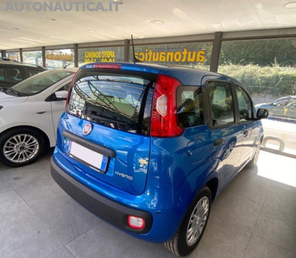 Fiat Panda 1.0 firefly hybrid Icon s&s 70cv (4)