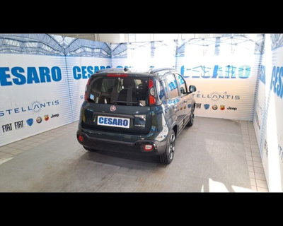 Fiat Panda Cross 1.0 firefly hybrid Cross s&s 70cv 5p.ti (3)