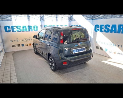 Fiat Panda Cross 1.0 firefly hybrid Cross s&s 70cv 5p.ti (4)