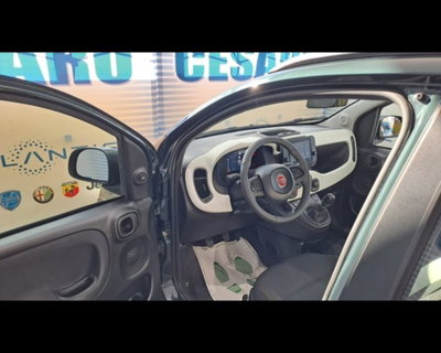 Fiat Panda Cross 1.0 firefly hybrid Cross s&s 70cv 5p.ti (5)