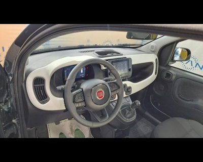 Fiat Panda Cross 1.0 firefly hybrid Cross s&s 70cv 5p.ti (6)